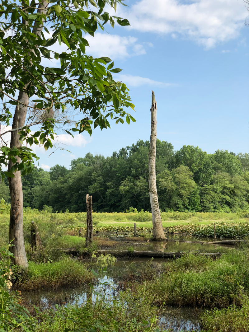 Illustration for article titled Yet more southern Indiana